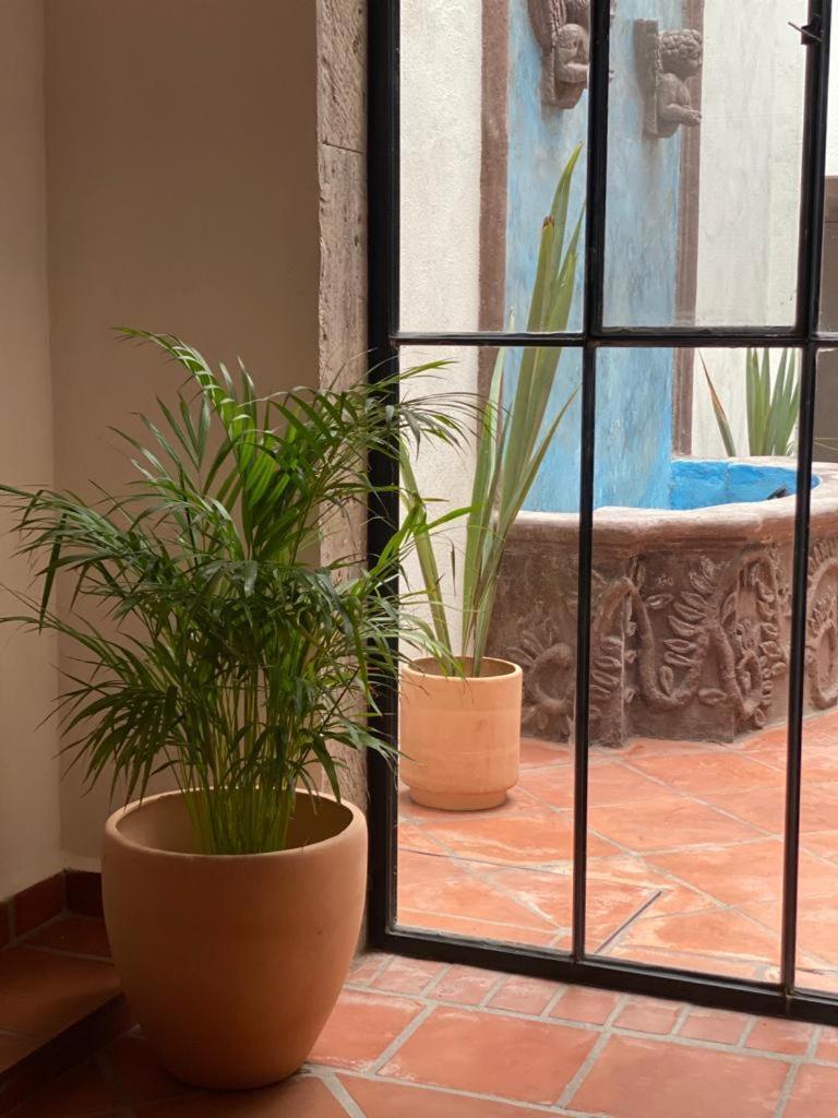 Casa Laberinto Hotel San Miguel de Allende Ngoại thất bức ảnh
